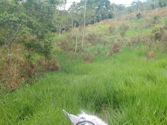 Fazenda em Ubaira-BA - Foto 6