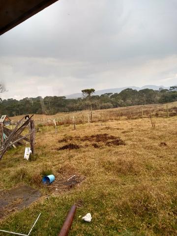 Chácara a Venda - Foto 5