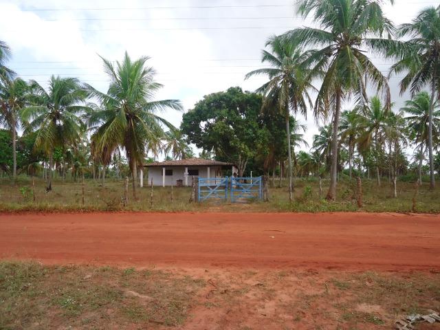 Fazenda 43.9 hectares