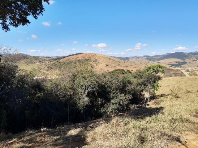 676 - Área de terra no Bugre de 29 hectares - Foto 4