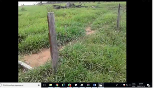 1100 Alqueires, 200 alqueires pasto, Pecuária, Tabaporã-MT - Foto 7