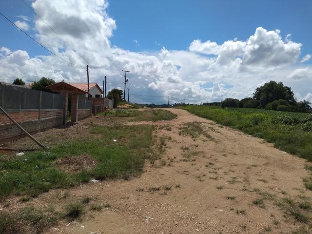 REF 2418 - Área com 24.177 m², sendo 11.000 m² de área limpa e plana. 2 barracões - Foto 4