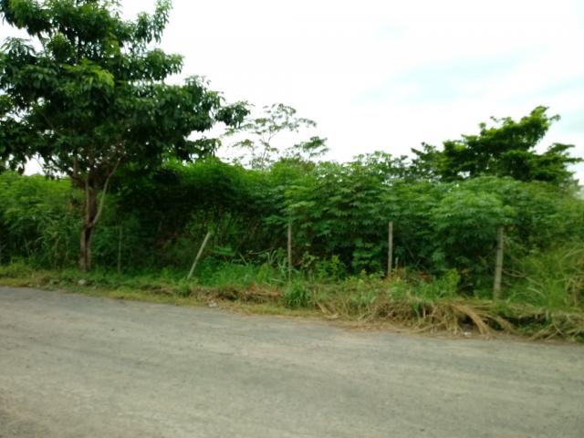 572 - Chácara no Residencial Porto Seguro - Chácaras Rio Doce. - Foto 5