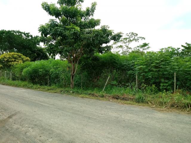 572 - Chácara no Residencial Porto Seguro - Chácaras Rio Doce. - Foto 2