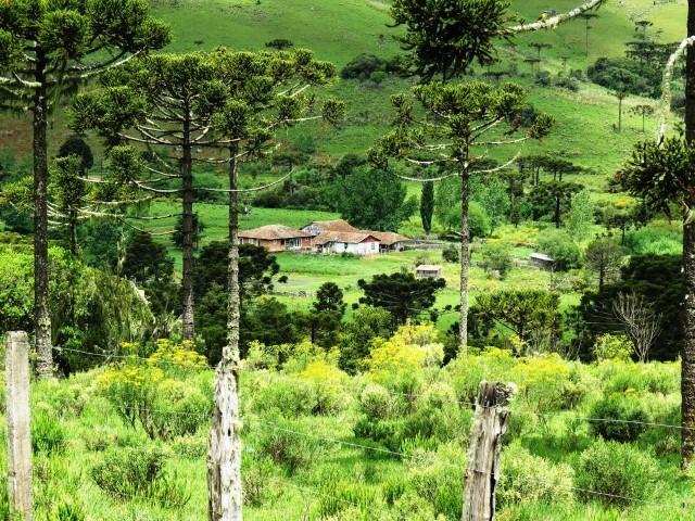 Fazenda em Urubici / chácara área rural - Foto 4