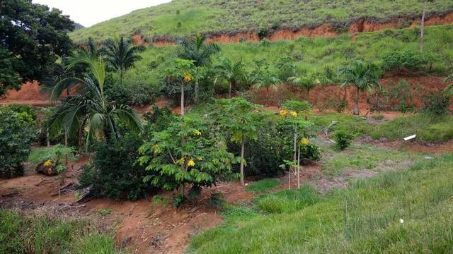 Fazenda Santa Teresa , Somente Avista ou Parcelado!! - Foto 9