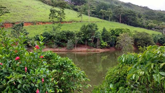 Fazenda Santa Teresa , Somente Avista ou Parcelado!! - Foto 7