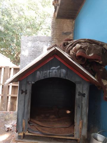 Vendo casa cachorro grande - Foto 3