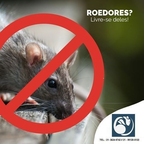 Dedetização e sanetização sem precisar sair de casa! - Foto 3