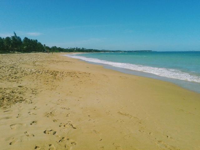 Sítio Praia Rio em Terreno - Foto 3