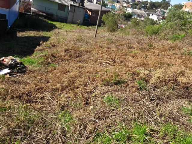 Terreno Jardim Iracema