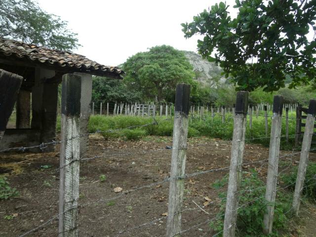 Sítio em Panelas - PE - Foto 6