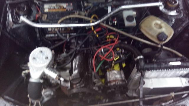 Passat Pointer - Foto 6