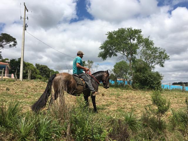 Égua crioula! - Foto 4