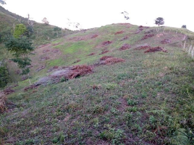 Fazenda em Ubaira-BA - Foto 4