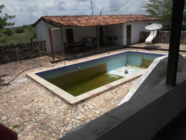 Feira Nova=Vend. 15 mil por Hect=Fazenda com 100 Hectares=Pronta pra Criação de Gado - Foto 6