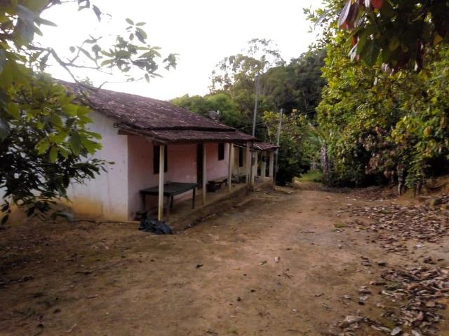 Fazenda em Ubaira-BA - Foto 2