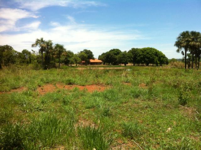Fazenda 220hec chapada, agua fria MT 020 - Foto 11