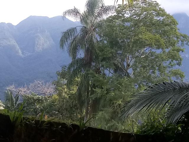 Terrenos - Porto de Cima - Morretes - Foto 5