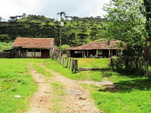 Fazenda em Urubici / chácara área rural - Foto 16