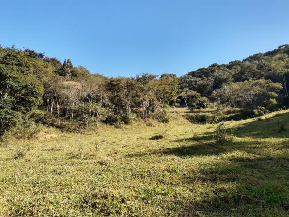 676 - Área de terra no Bugre de 29 hectares