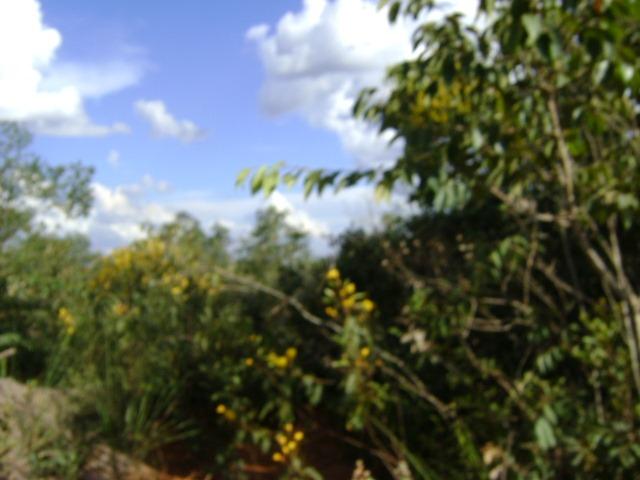 480 Alq.Tangará x Paraná, cerrado Tangará-MT - Foto 5