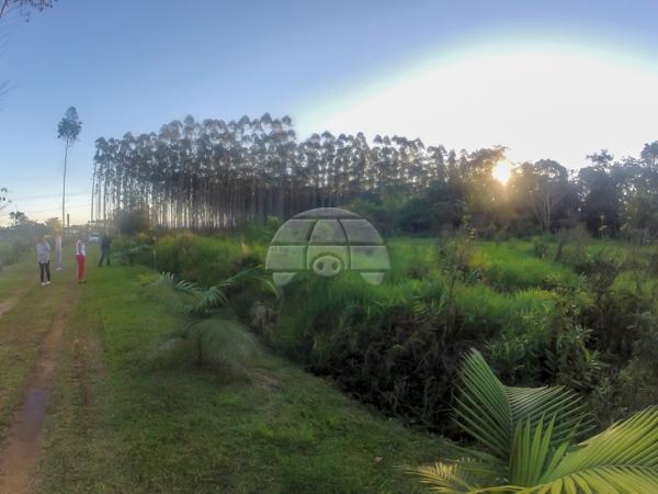 Terreno à venda em Barahara, Garuva cod:136473 - Foto 5