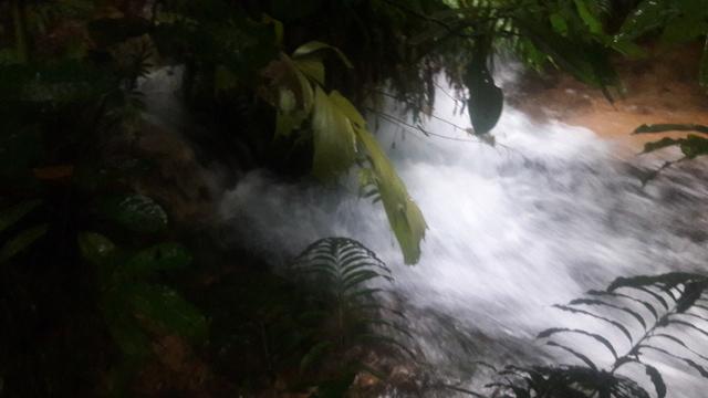 1080 Hectares em Tangará x Paraná, cerrado Tangará-MT - Foto 2