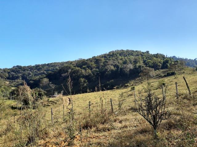676 - Área de terra no Bugre de 29 hectares - Foto 14
