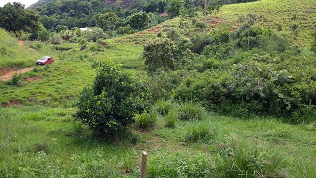 Fazenda Santa Teresa , Somente Avista ou Parcelado!! - Foto 12