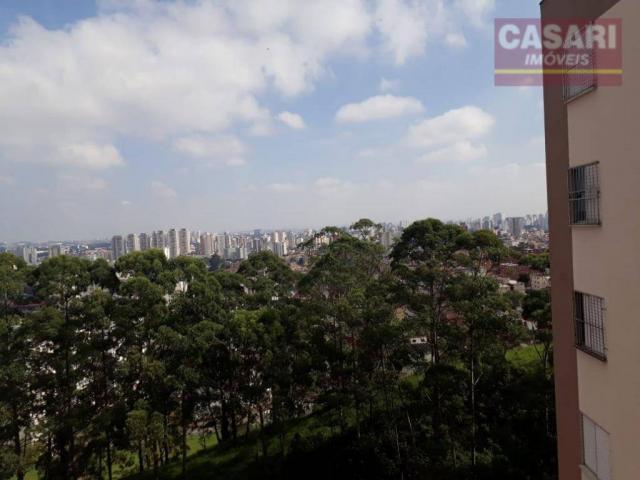 Apartamento com 2 dormitórios à venda, 55 m² - jardim irajá - são bernardo do campo/sp - Foto 7