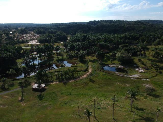 Balneário,Sítio com Restaurante funcionando BR 174 KM30 com 320.000 m² de área - Foto 13