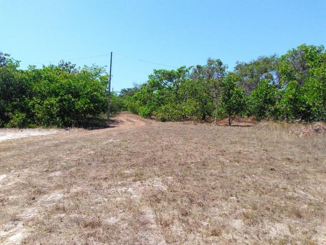 Sitio de 20 hectares, rico em água ótima casa sede e apenas 20 km de Teresina - Foto 5