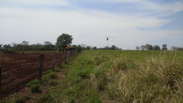 Terenos, MS linda chácara - até para morar - Foto 13