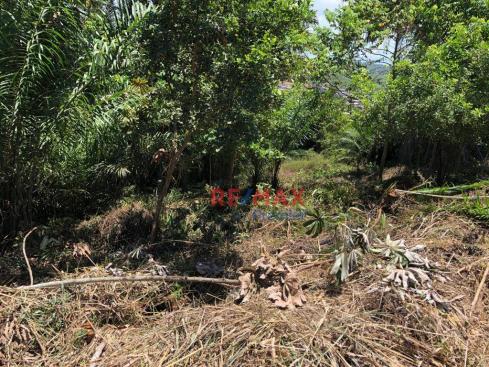 Terreno à venda, 1302 m² por r$ 140.000 - nossa senhora da vitória - ilhéus/ba - Foto 5