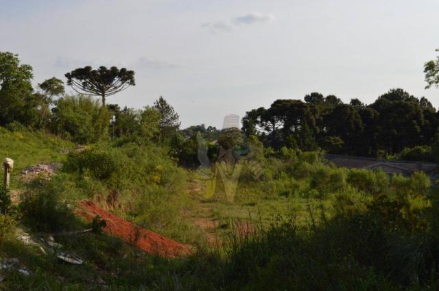 Terreno para alugar, 3100 m² por r$ 3.900/mês - santa felicidade - curitiba/pr - Foto 4