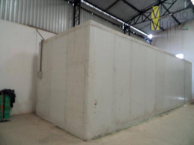 Galpão comercial para alugar, paupina, fortaleza. - Foto 13