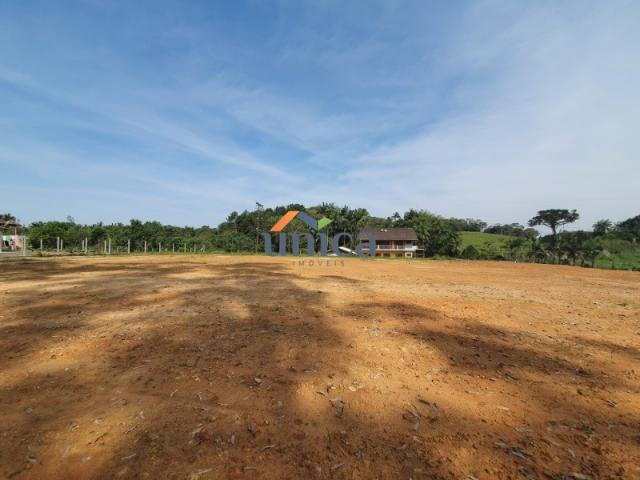 Terreno para alugar em Vila nova, Joinville cod:UN01244 - Foto 2