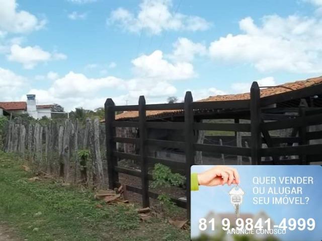 Vendo 17 Contas de de Terra, com Casa e Curral, a 6 km da BR 232 em Gravatá-PE - Foto 4