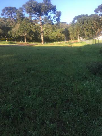 Chácara - Foto 5