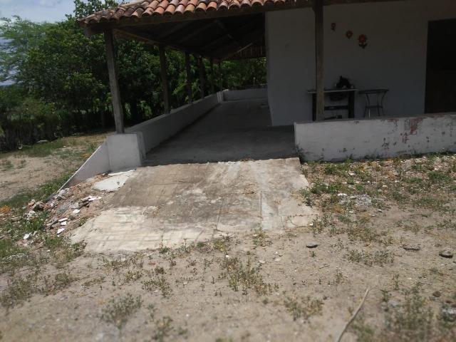 Feira Nova=Vend. 15 mil por Hect=Fazenda com 100 Hectares=Pronta pra Criação de Gado - Foto 17