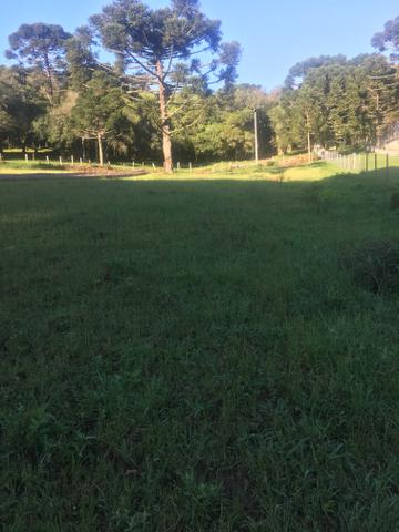 Chácara - Foto 6