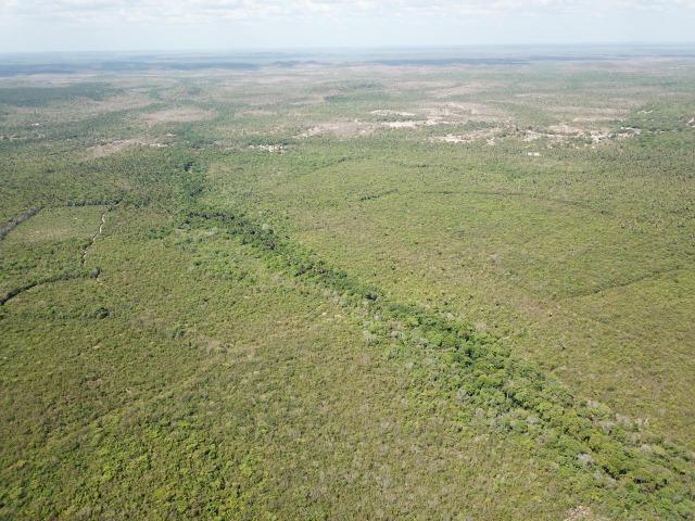Oportunidade ! 4 mil hectares brutos de dupla aptidão, entre Codó e Caxias ! - Foto 4