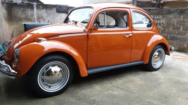 Raridade - Foto 4