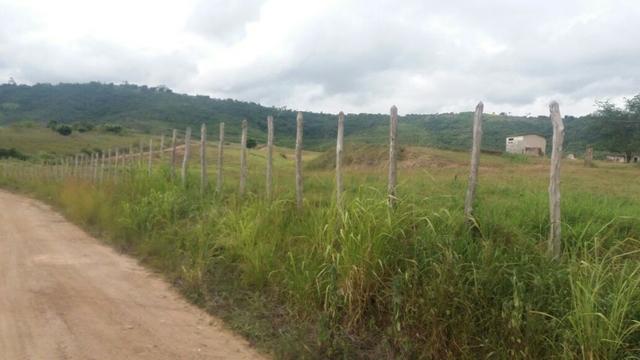 Escada=Vend. 7 mil por Hect=140 Hect=Todos plantado em Cana de Açúcar, só vendemos tudo - Foto 3