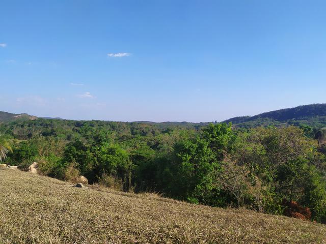 Terreno Rural 20.000 m² - Matozinhos - Foto 5