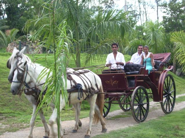 Sitio,Retiro,Evento, prox Recreio 110 camas - Foto 7