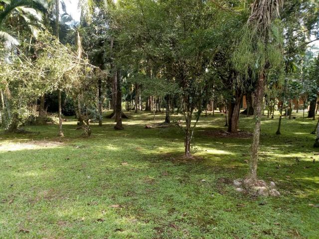 Terrenos - Porto de Cima - Morretes - Foto 4