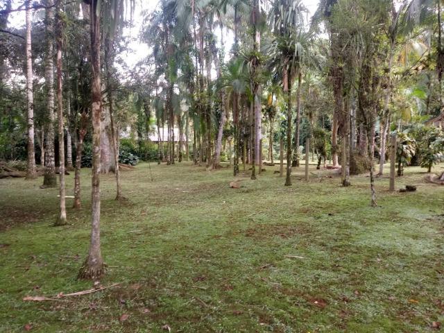 Terrenos - Porto de Cima - Morretes - Foto 14