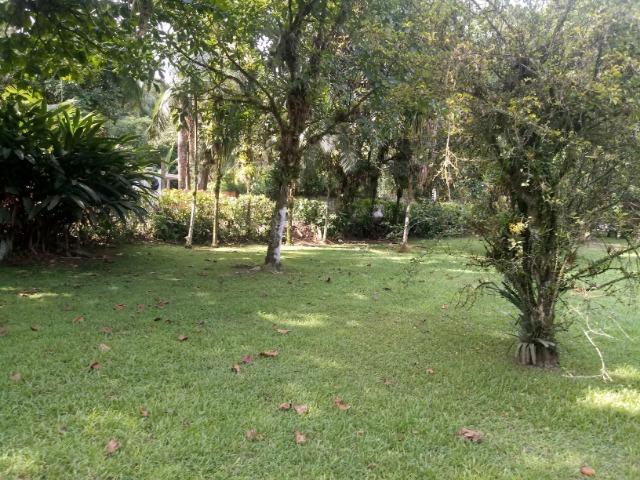 Terrenos - Porto de Cima - Morretes - Foto 11